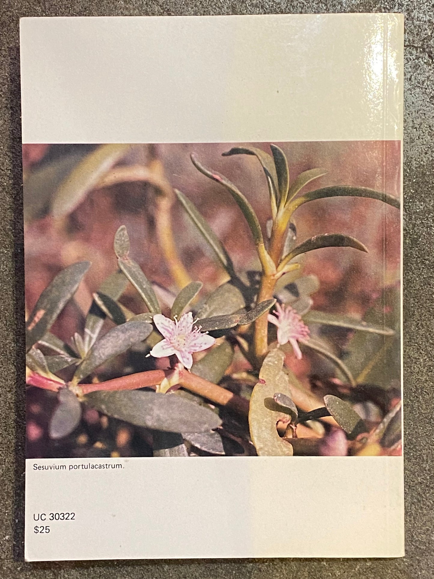 “HONG KONG HERBS: Volume II” BOOK