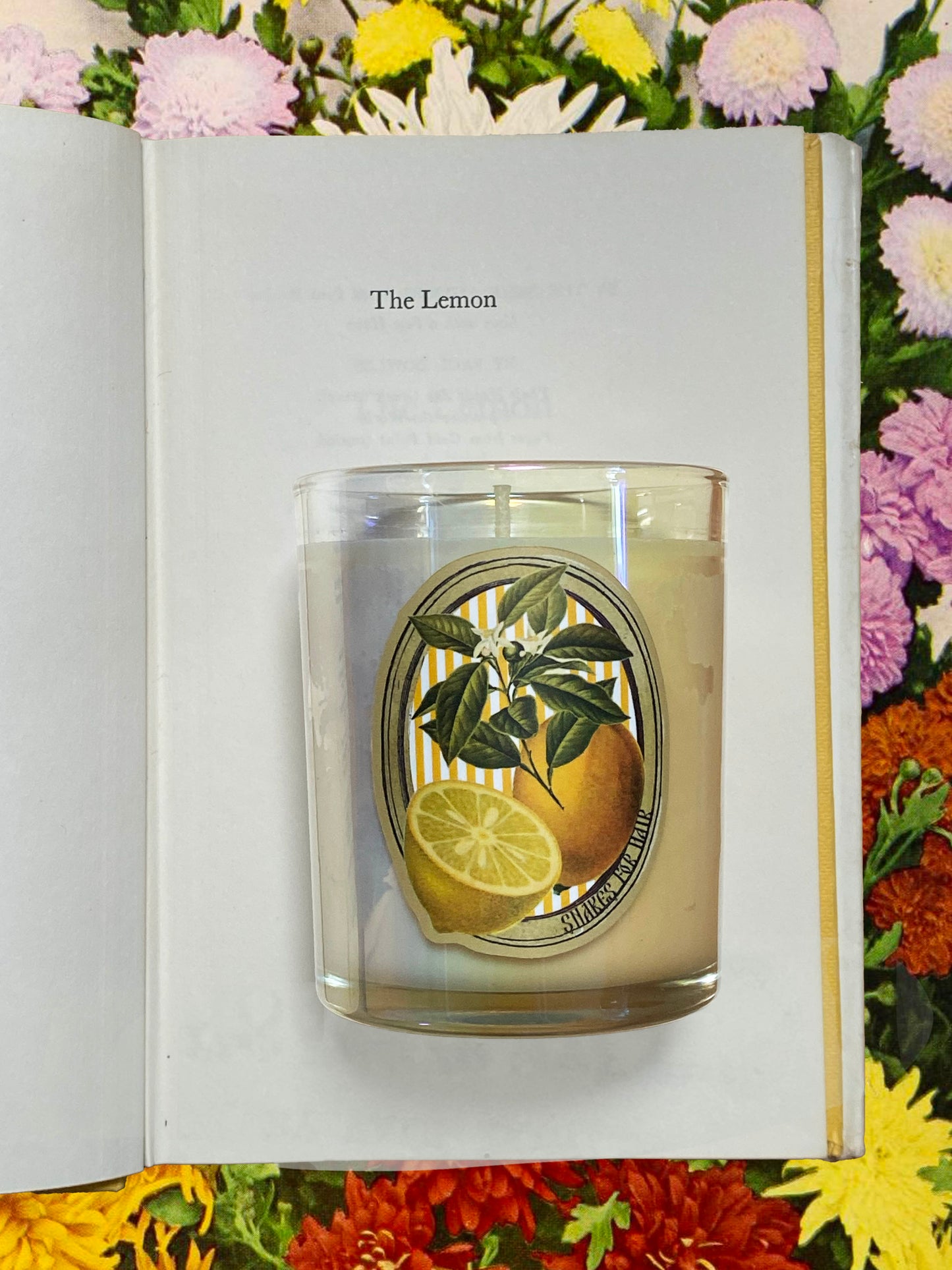 GOLDEN LEMON