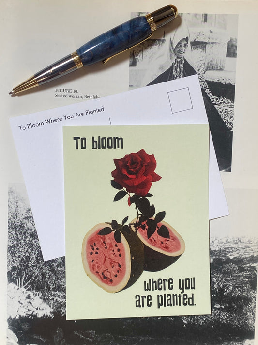 TO BLOOM WHERE YOU ARE PLANTED  POSTCARD
