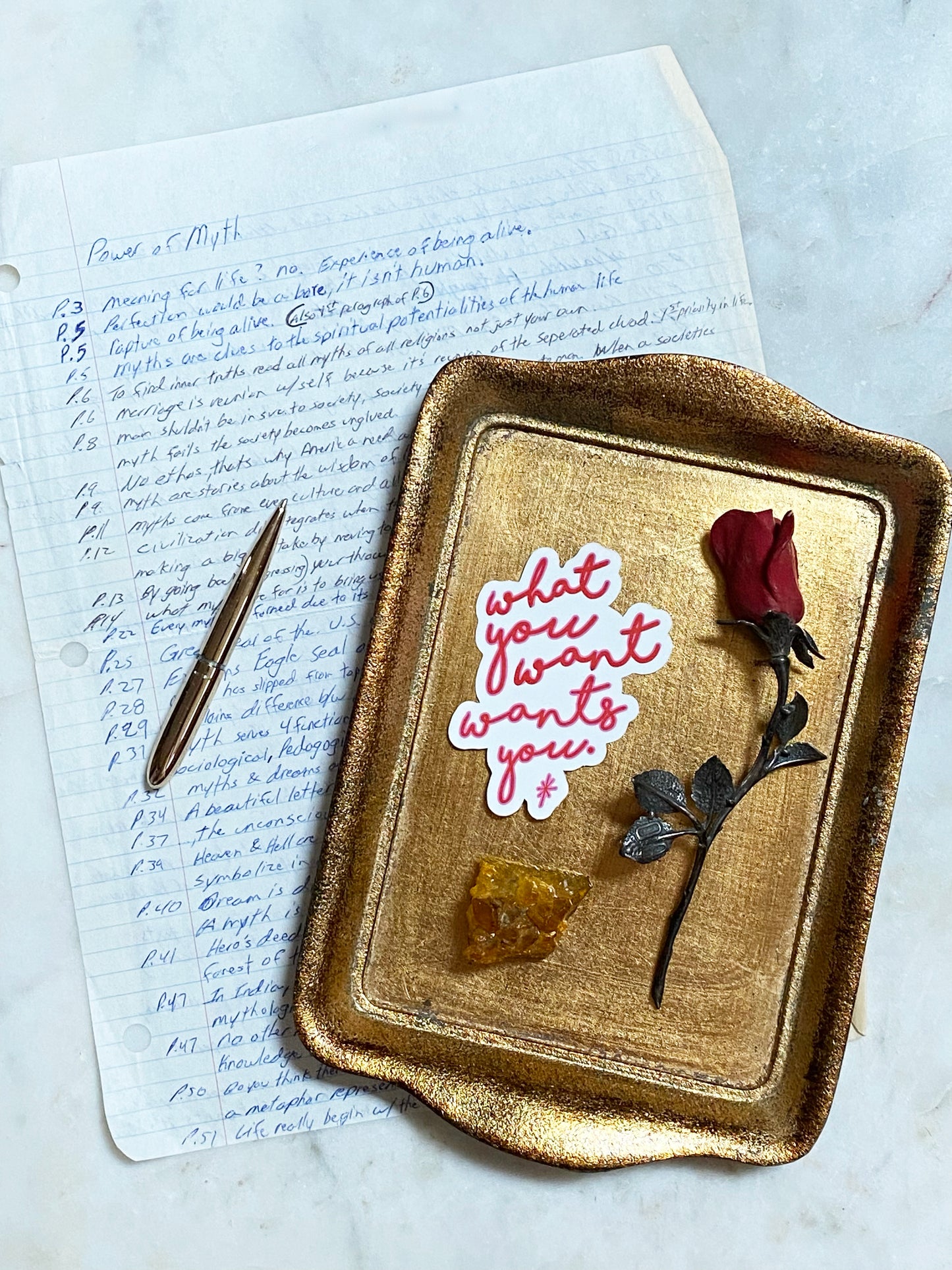 WHAT YOU WANT WANTS YOU STICKER