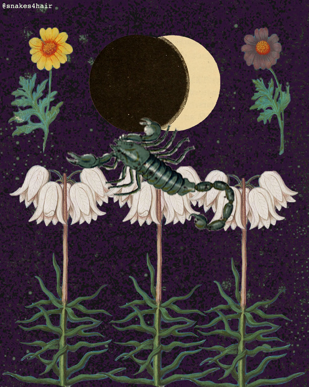 SCORPIO
