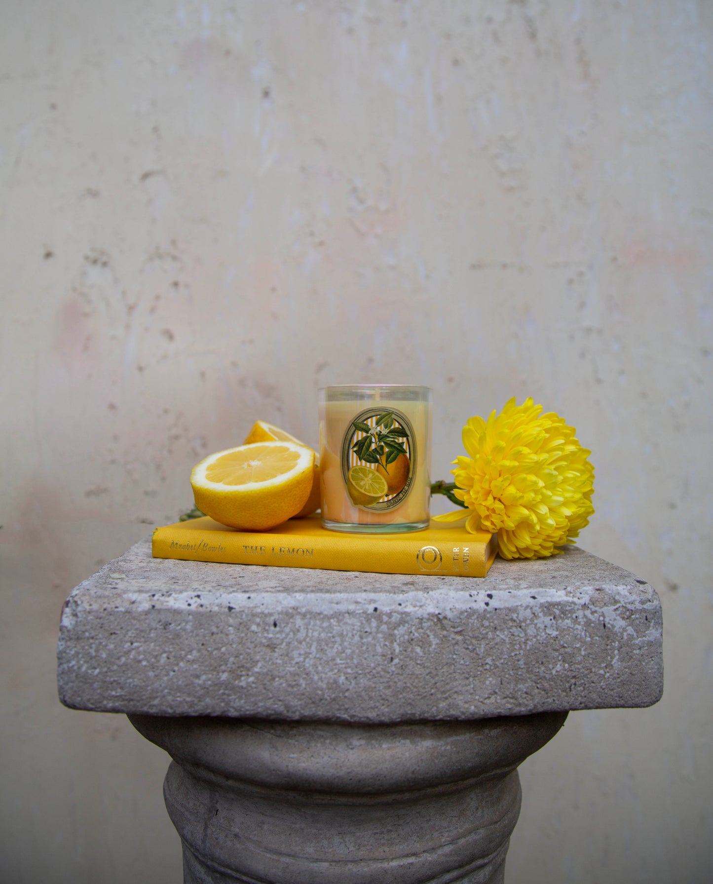 GOLDEN LEMON