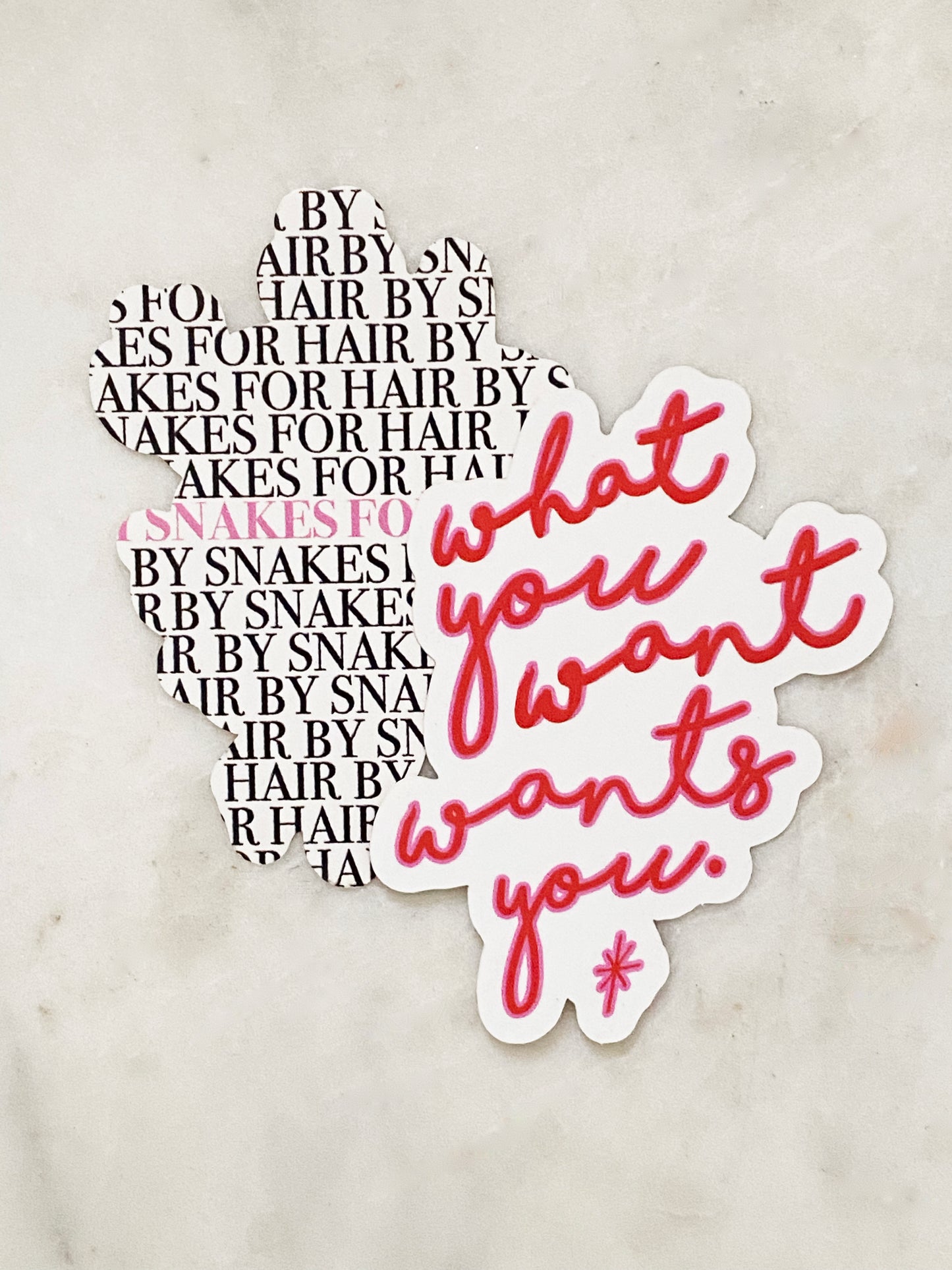 WHAT YOU WANT WANTS YOU STICKER