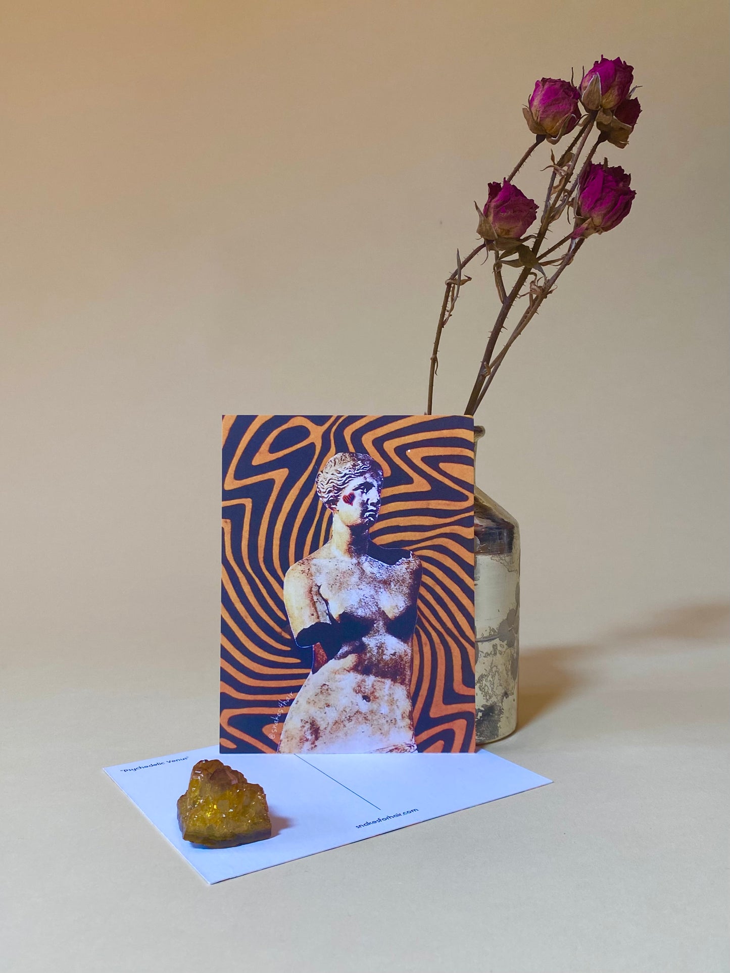 VENUS TAKES A TRIP POSTCARD