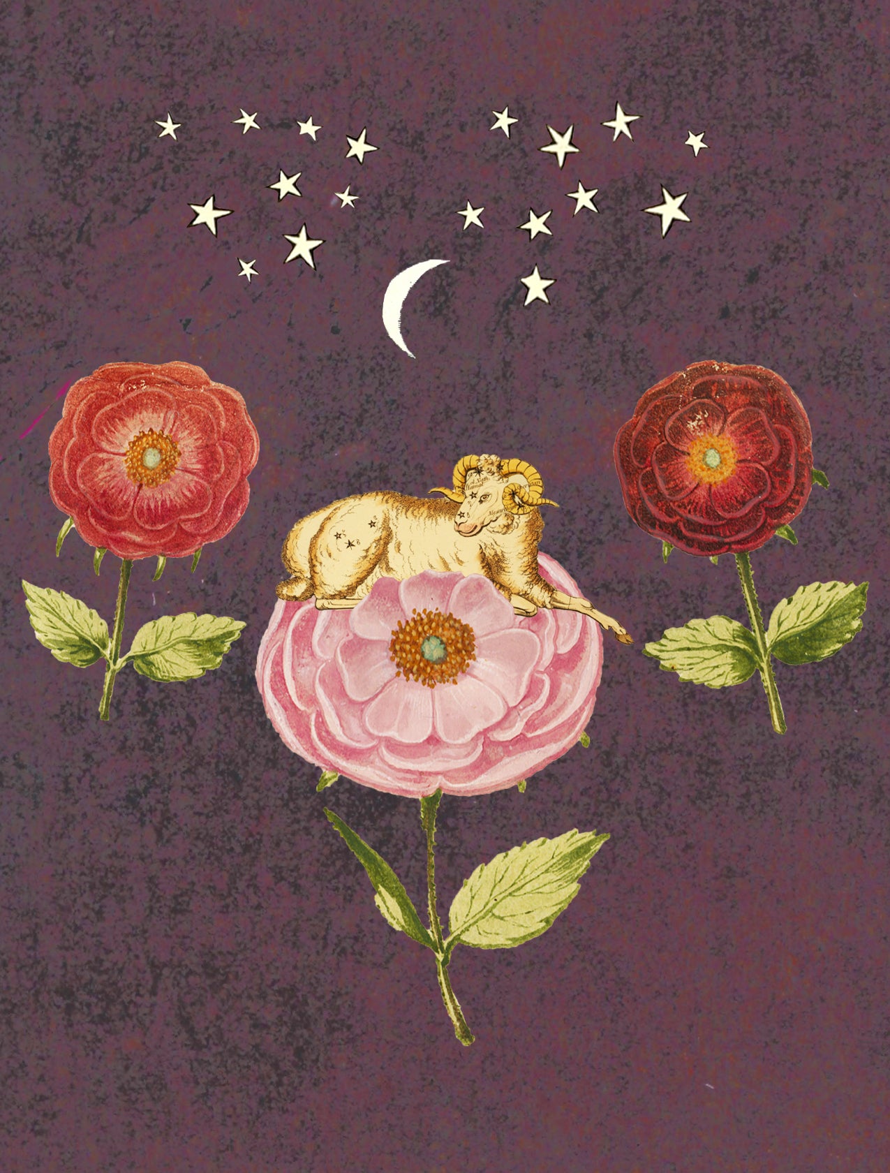 ARIES
