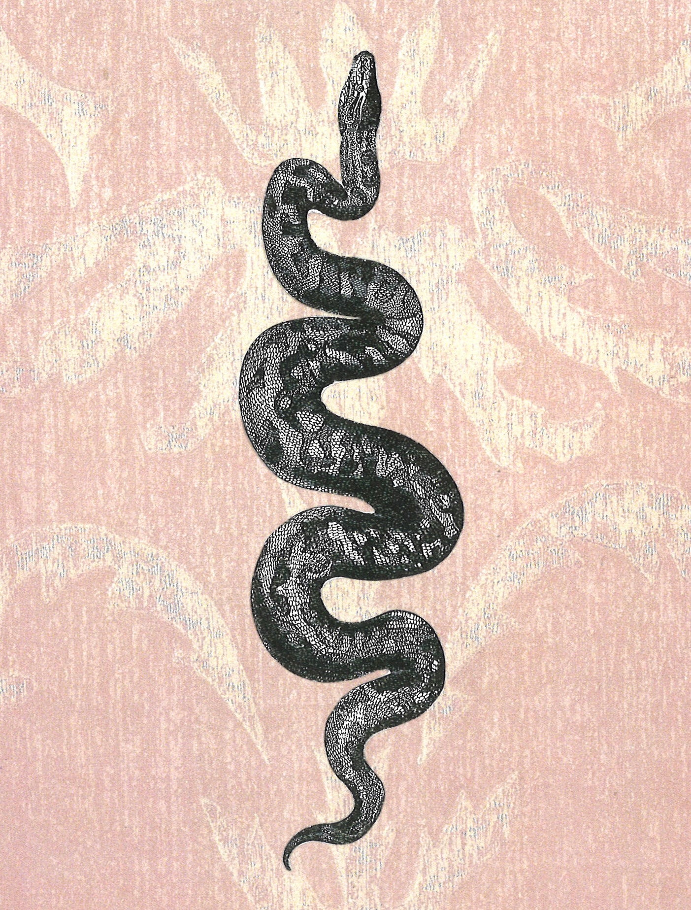 ARA KARA | MANIFEST