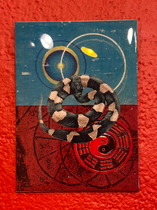 COLLAGE, "PSYCHIC CIRCLE"