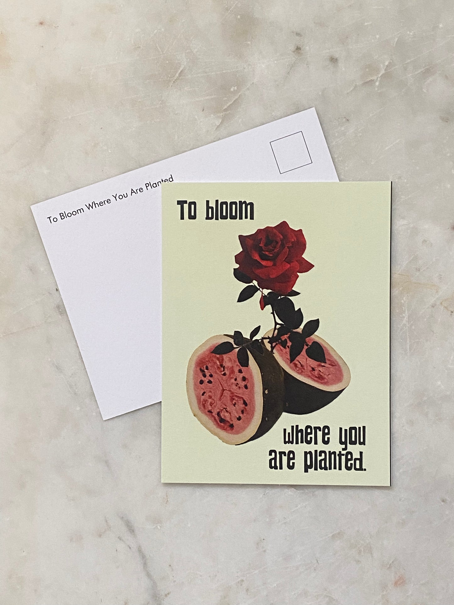 TO BLOOM WHERE YOU ARE PLANTED  POSTCARD