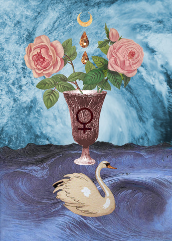 ACE OF CUPS- Limited Edition